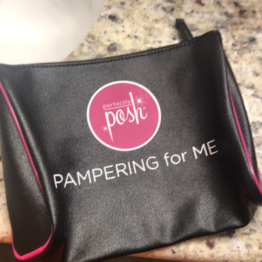 Perfectly Posh cosmetic bag